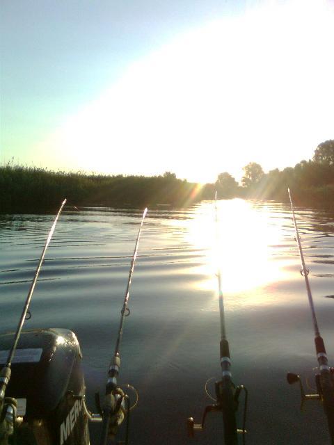 Doar ...  NATURA - imagine0016.jpg